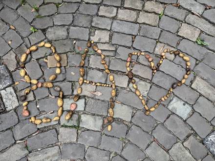 Quelle: Kimberly Rademacher