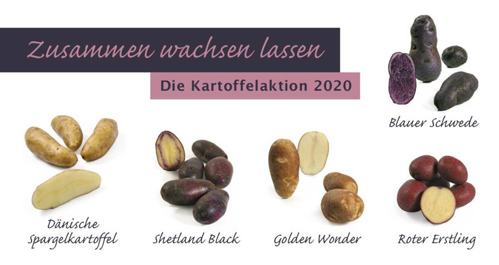 Quelle: Kartoffelauswahl
